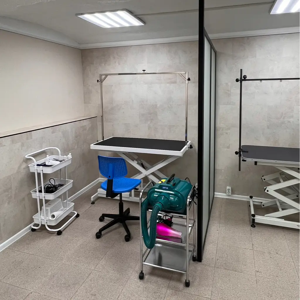 Салон красоты Sofigroom - стрижка собак и кошек - 6