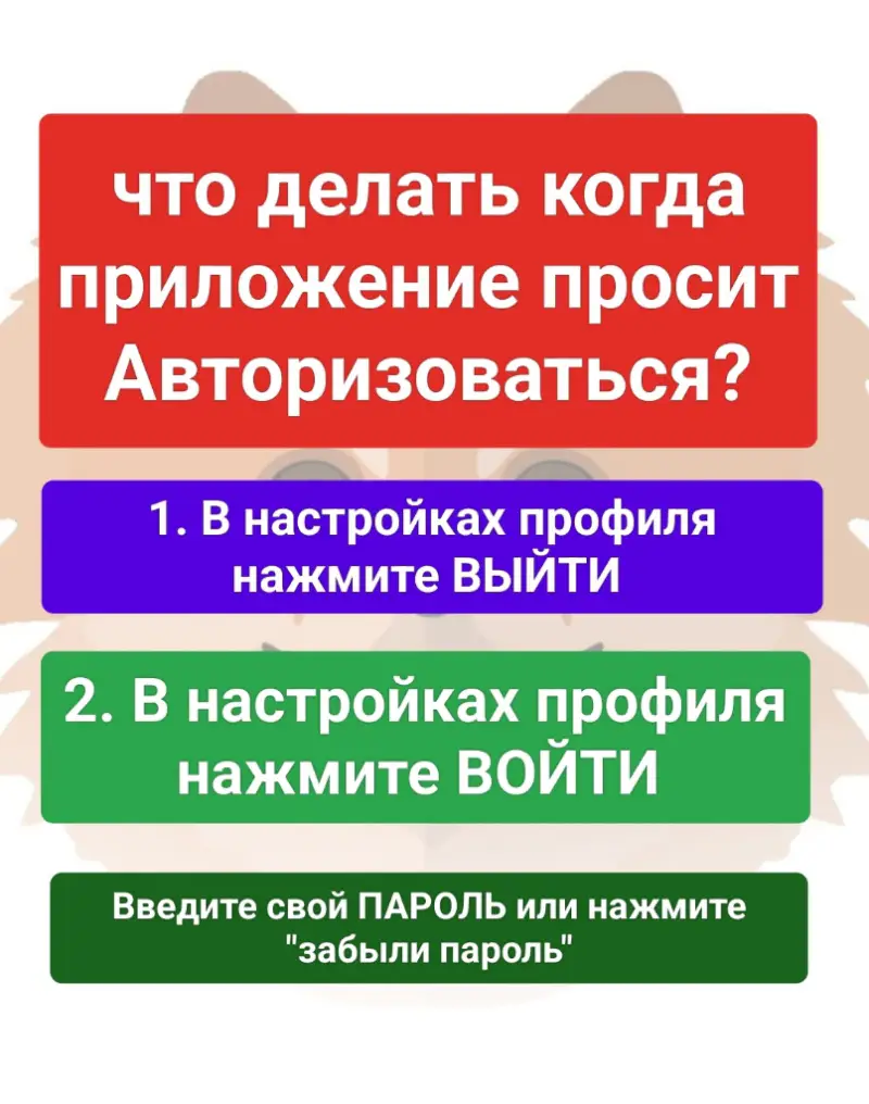 Салон красоты Груминг-салон - 2
