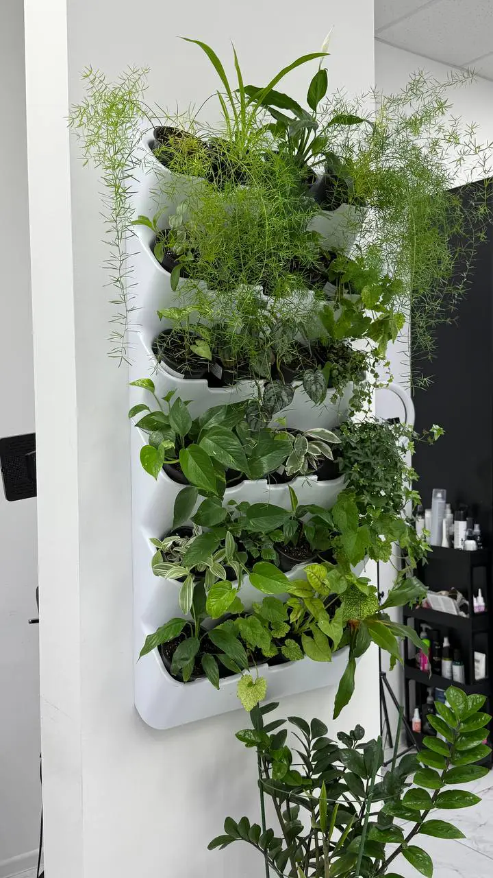 Салон красоты КУЛЬТ - 5