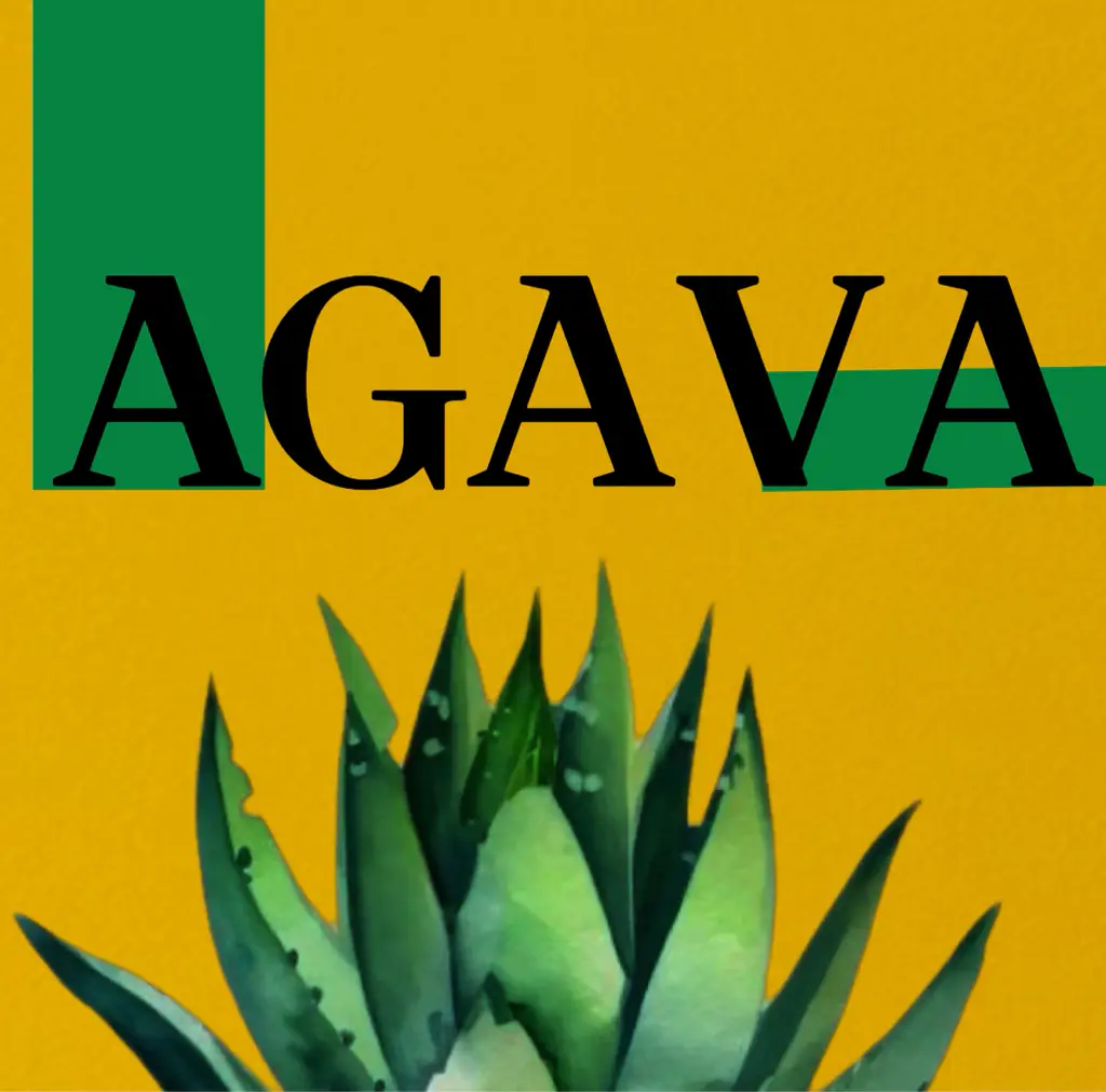 Салон красоты AGAVA